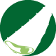 Aloe Logo