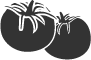 Tomate Logo